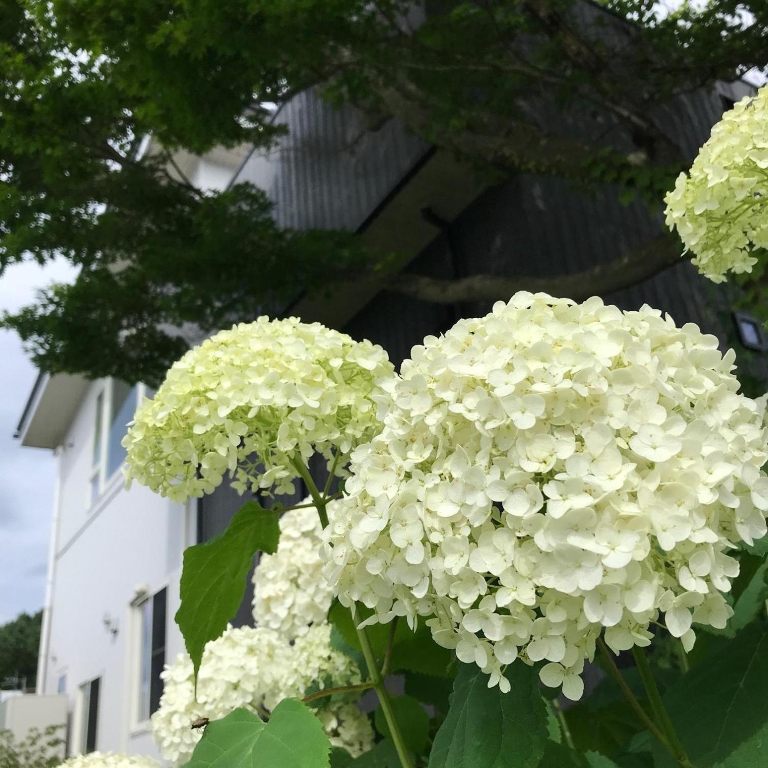 Sweet Villa Takasama - Vacation Stay 11775 Fujiyoshida Exterior foto