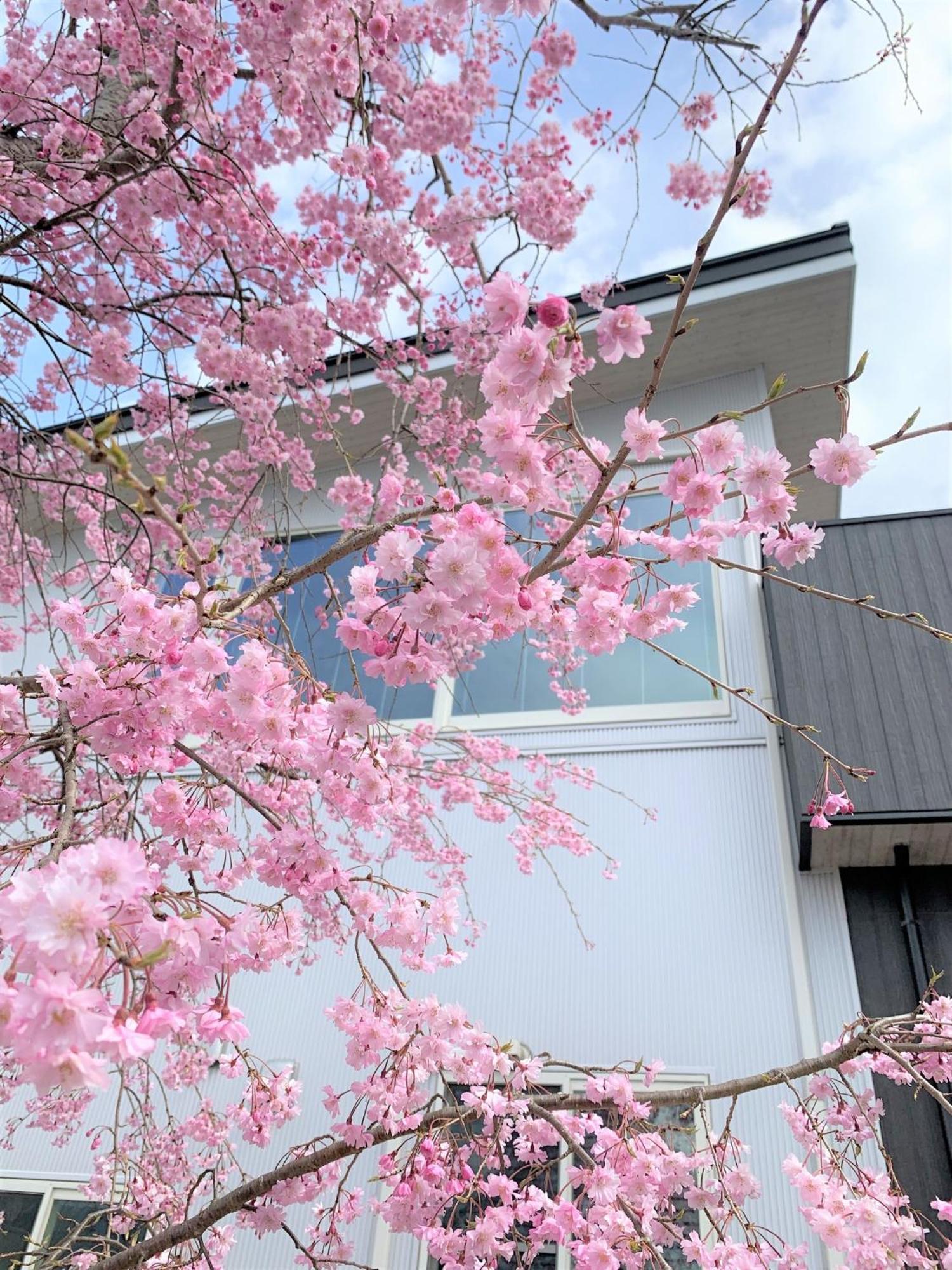 Sweet Villa Takasama - Vacation Stay 11775 Fujiyoshida Exterior foto