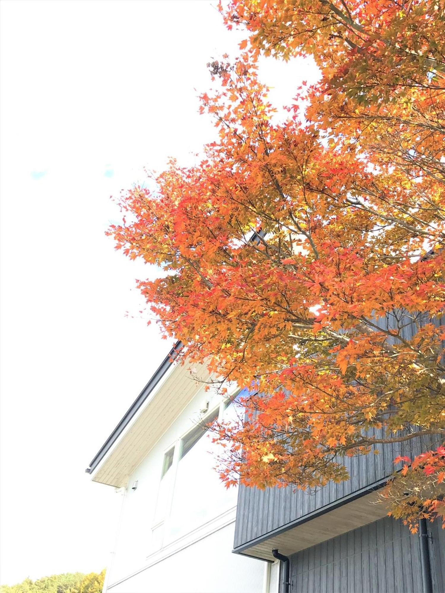 Sweet Villa Takasama - Vacation Stay 11775 Fujiyoshida Exterior foto